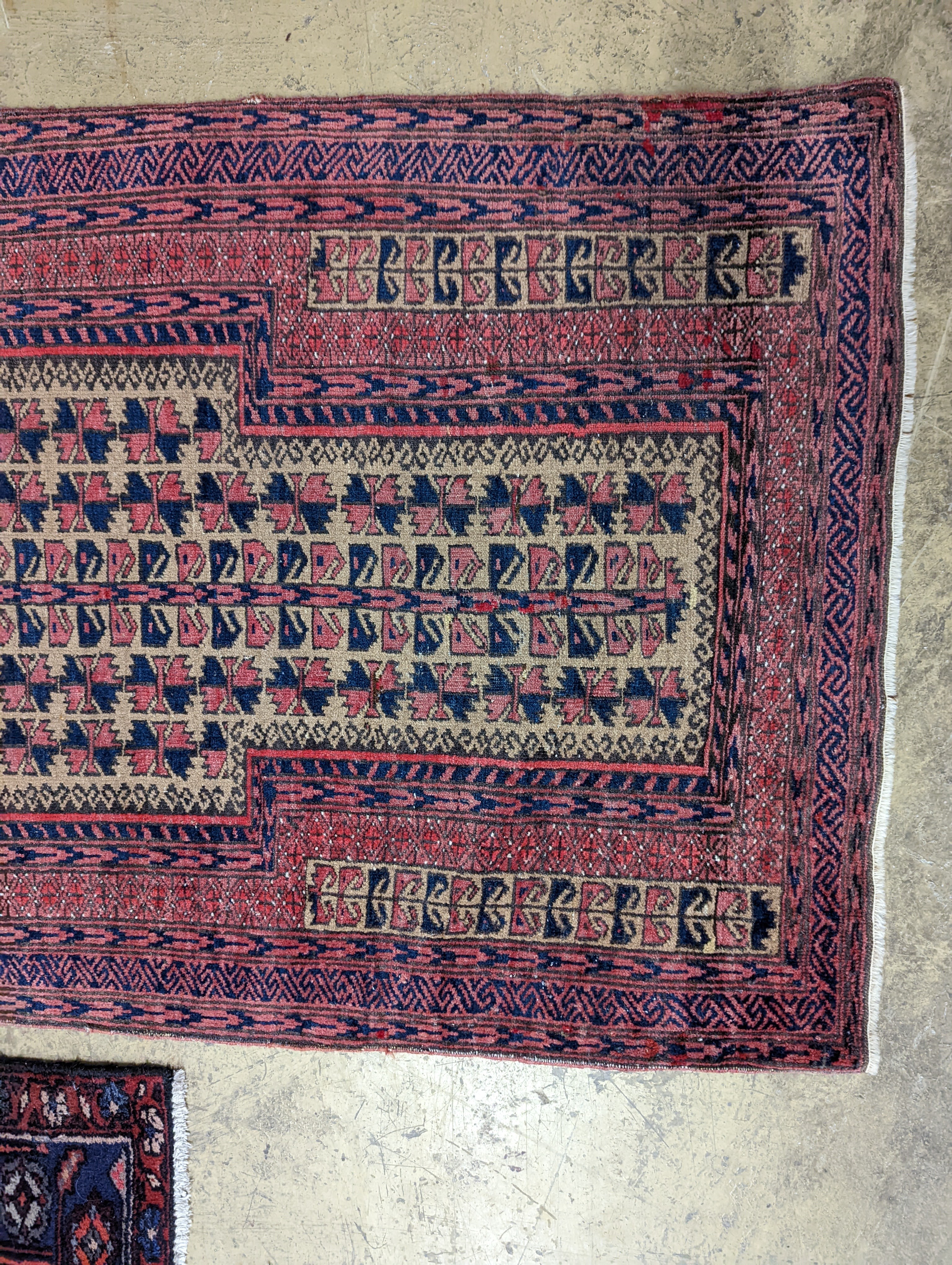 A Bokhara red ground rug and a Belouch prayer rug, larger 144 x 88cm
